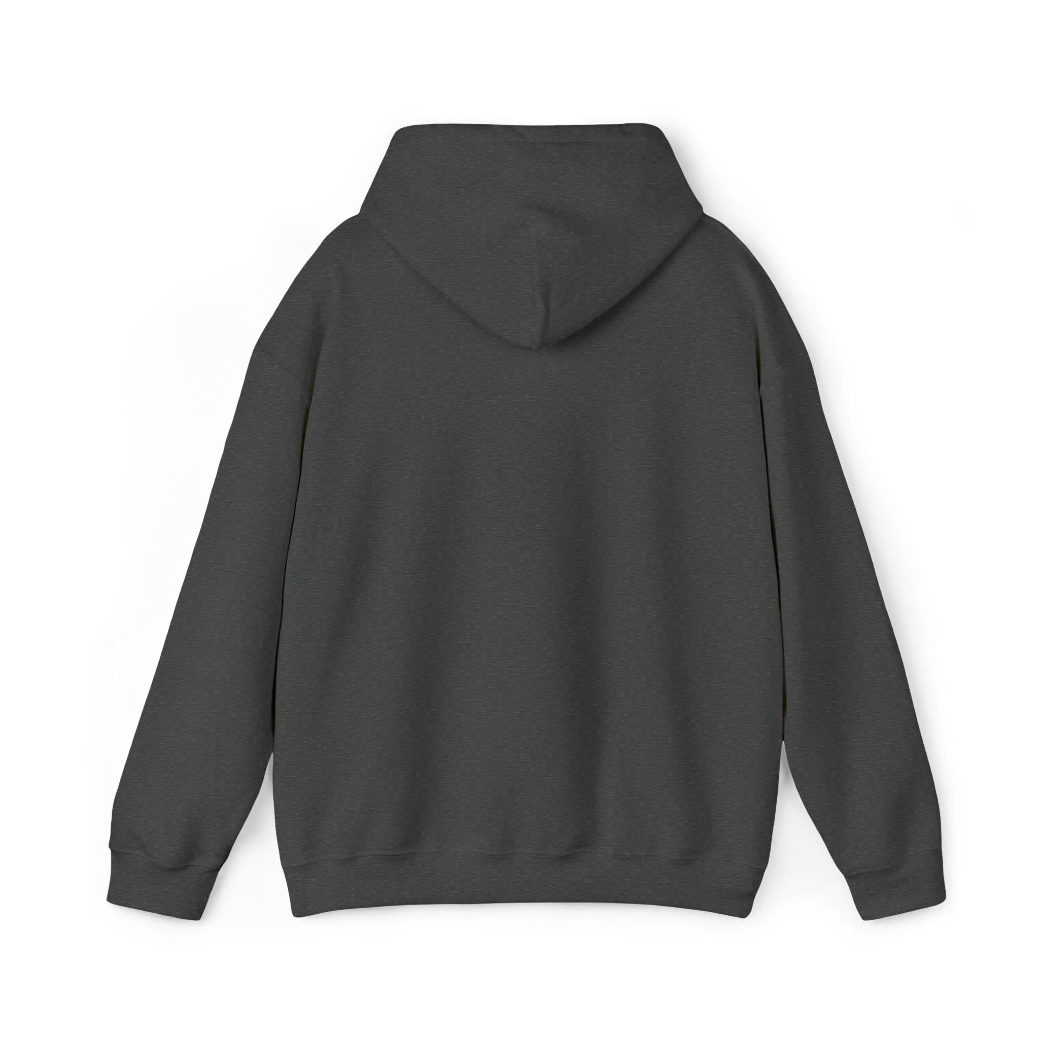 Salah Lightweight Hoodie (Multiple Colors) v1