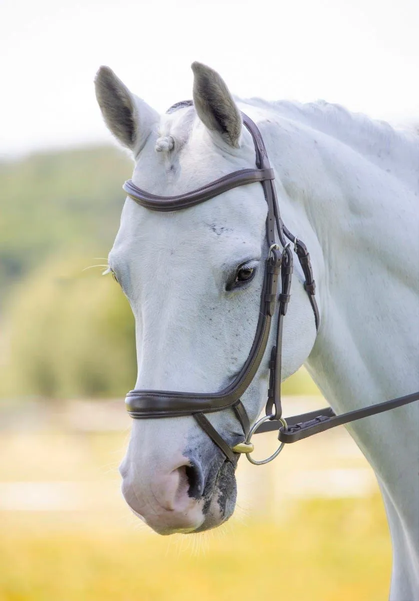 Shires RAPIDA Ergonomic Curved Flash Bridle