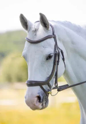 Shires RAPIDA Ergonomic Curved Flash Bridle