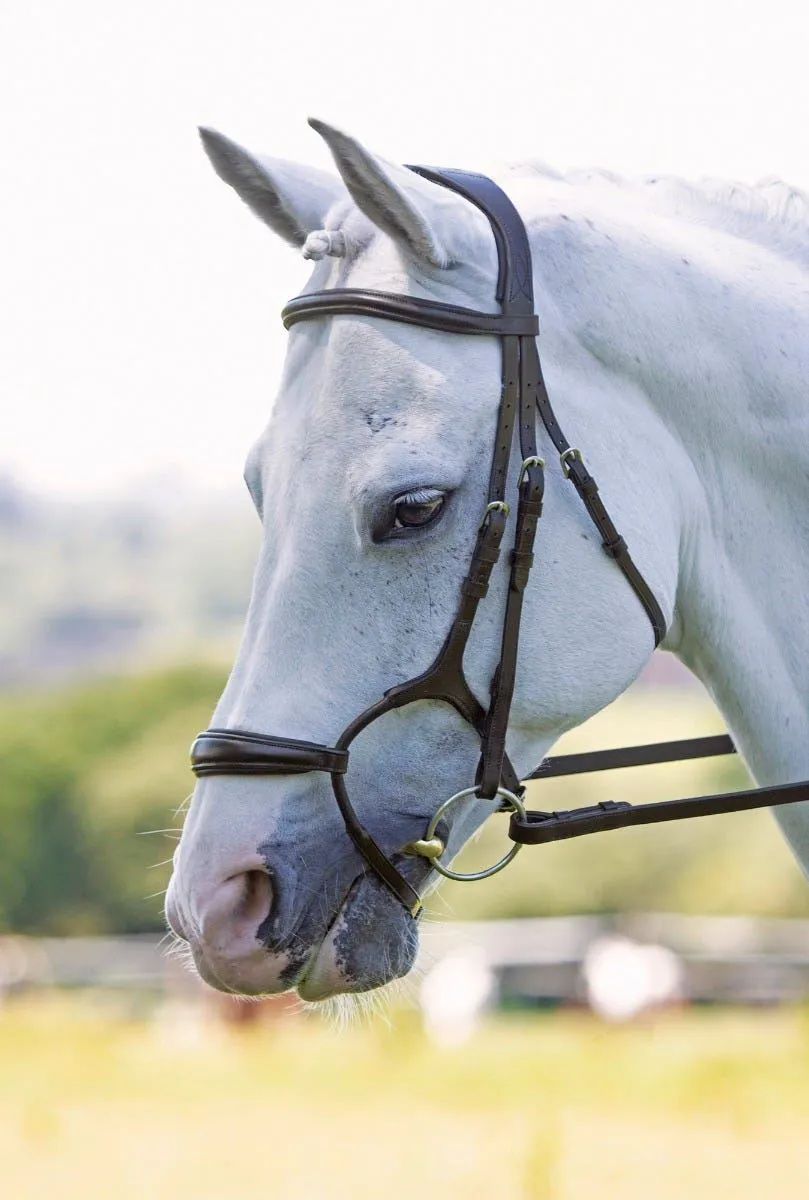 Shires RAPIDA Rolled Padded Cavesson Bridle