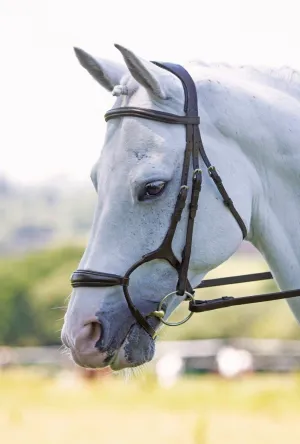 Shires RAPIDA Rolled Padded Cavesson Bridle