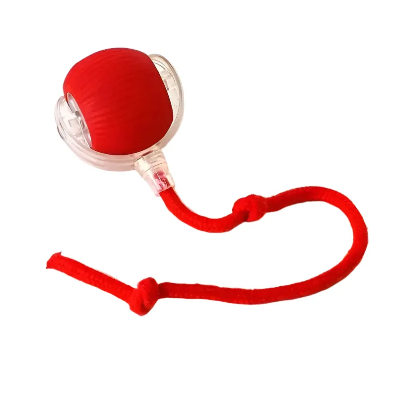 Smart Interactive Dog Toy Ball