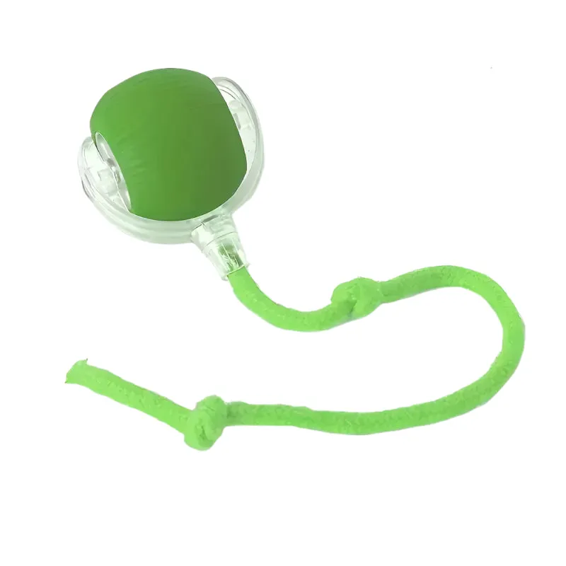 Smart Interactive Dog Toy Ball