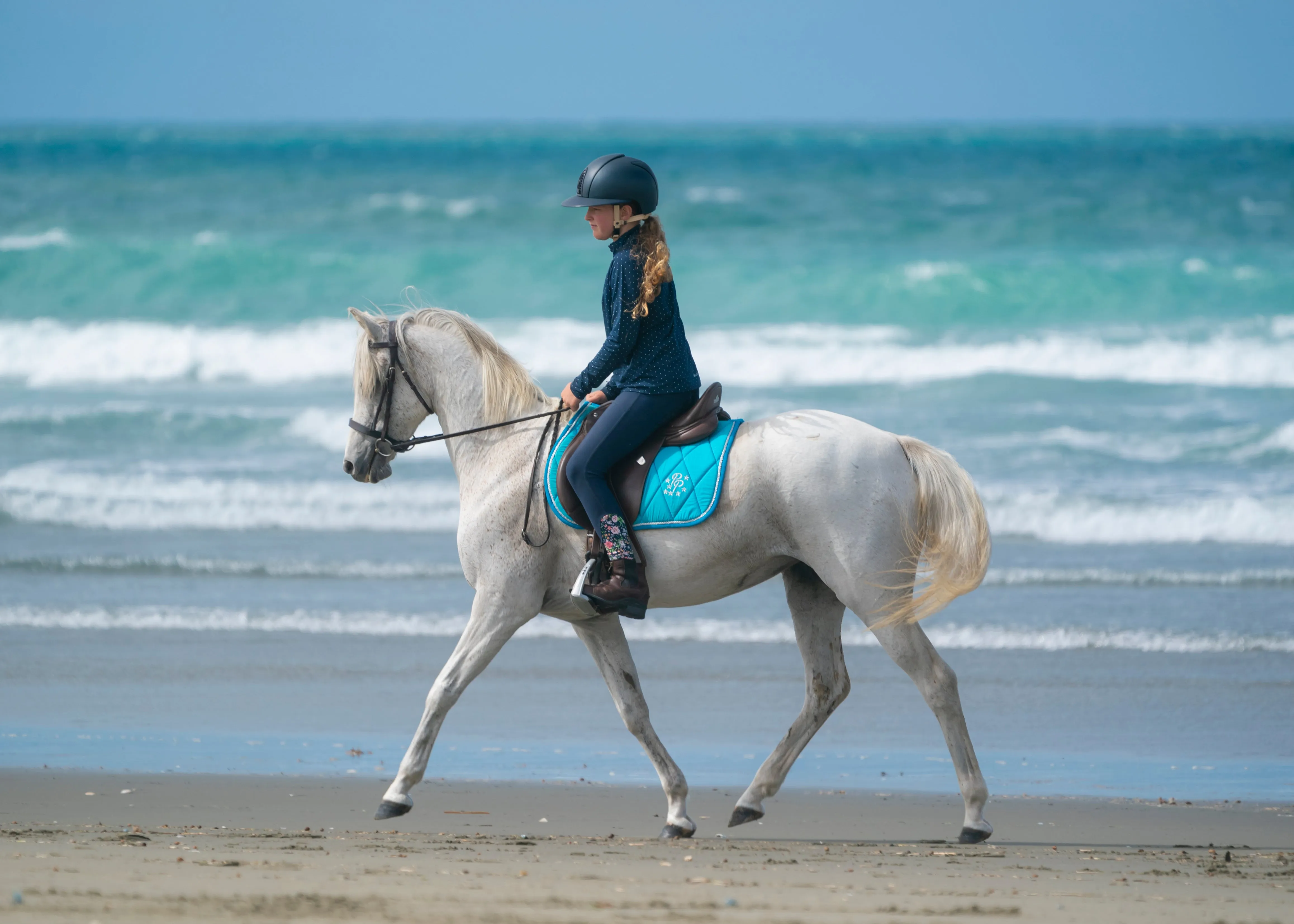 Turquoise Saddle Pads - Jump, GP, and Dressage cuts