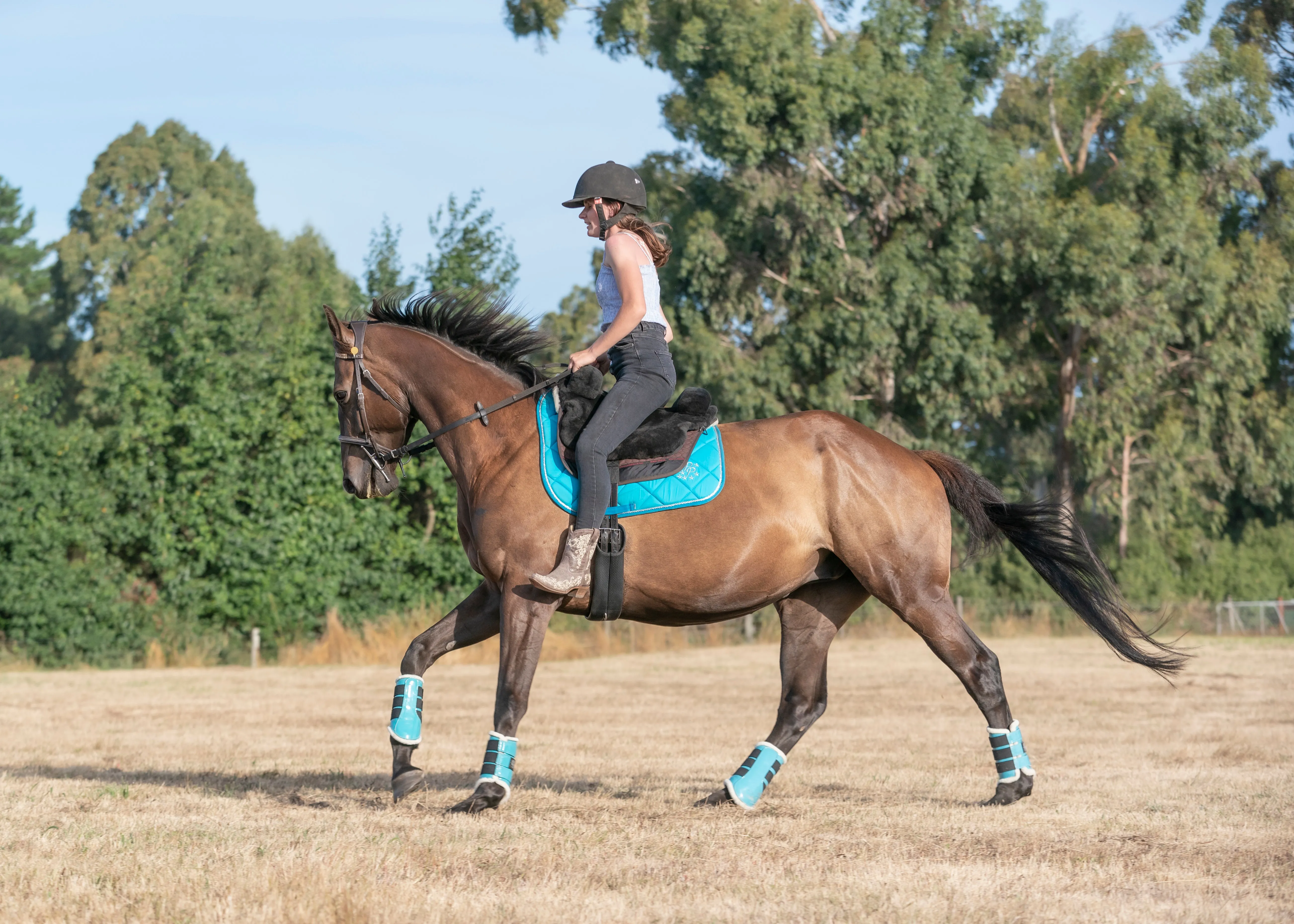 Turquoise Saddle Pads - Jump, GP, and Dressage cuts