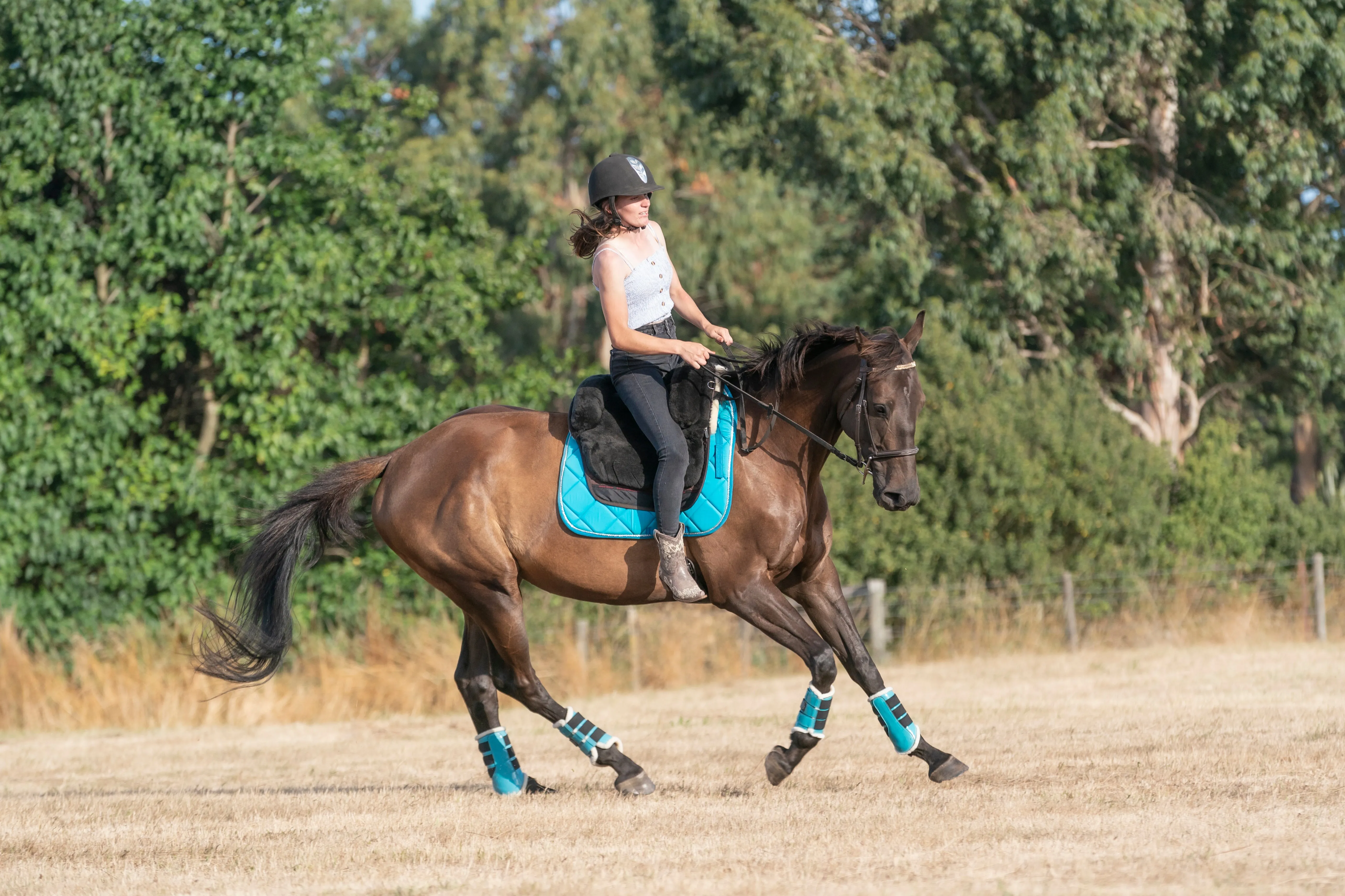 Turquoise Saddle Pads - Jump, GP, and Dressage cuts