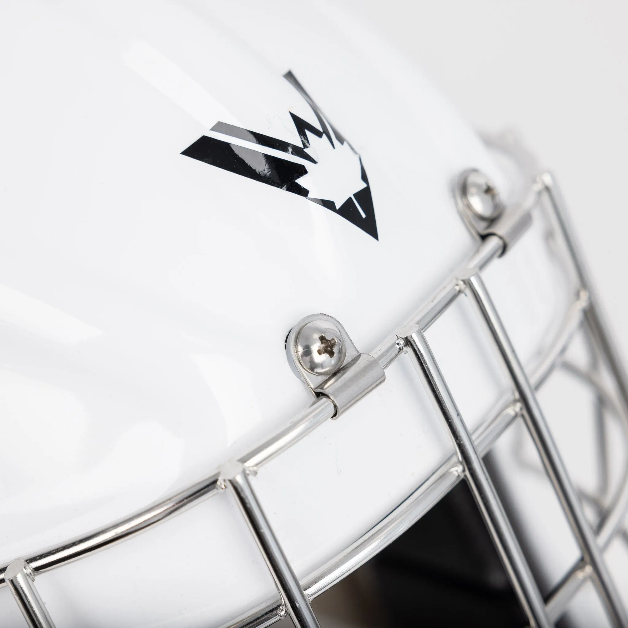 Victory V4 Senior Goalie Mask
